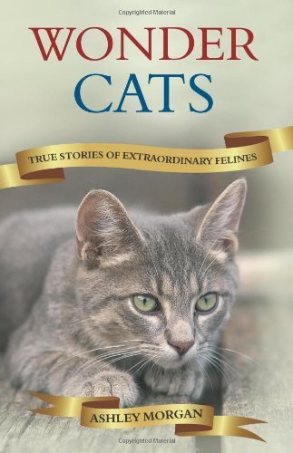 Wonder Cats